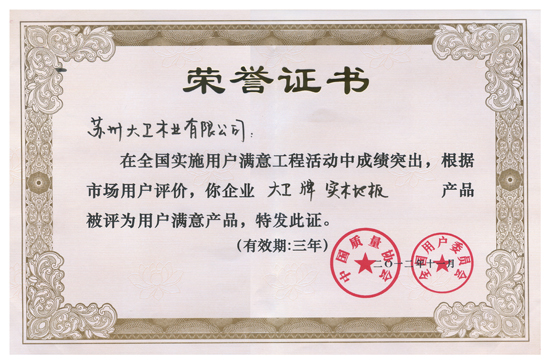 大衛(wèi)地板榮獲“全國(guó)實(shí)施用戶滿意工程先進(jìn)單位”.jpg